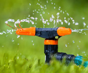 proper-lawn-watering-during-extreme-heat
